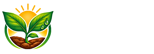 BORTAŞ